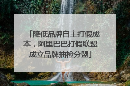 降低品牌自主打假成本，阿里巴巴打假联盟成立品牌抽检分盟