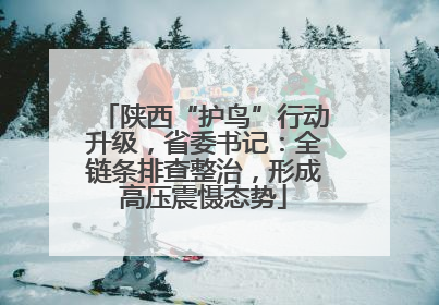 陕西“护鸟”行动升级，省委书记：全链条排查整治，形成高压震慑态势
