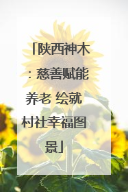 陕西神木：慈善赋能养老 绘就村社幸福图景