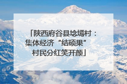 陕西府谷县埝墕村：集体经济“结硕果” 村民分红笑开颜