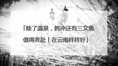 除了温泉，腾冲还有三文鱼值得奔赴丨在云南样样好