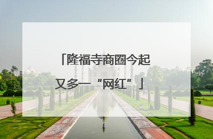 隆福寺商圈今起又多一“网红”