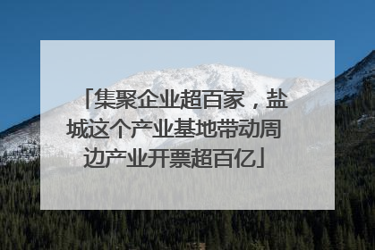 集聚企业超百家，盐城这个产业基地带动周边产业开票超百亿