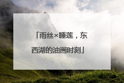 雨丝×睡莲，东西湖的油画时刻