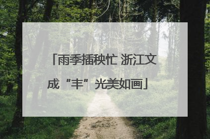 雨季插秧忙 浙江文成“丰”光美如画