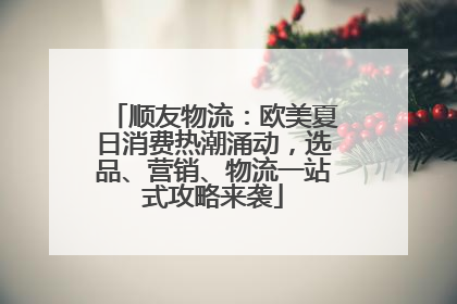 顺友物流：欧美夏日消费热潮涌动，选品、营销、物流一站式攻略来袭