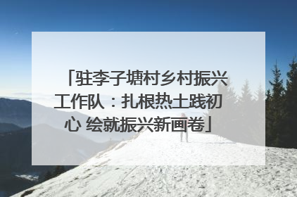 驻李子塘村乡村振兴工作队：扎根热土践初心 绘就振兴新画卷