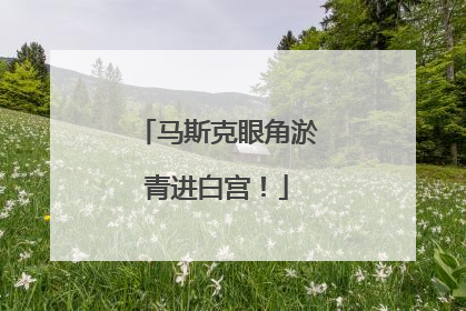 马斯克眼角淤青进白宫！