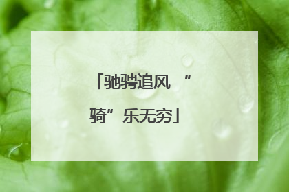 驰骋追风 “骑”乐无穷