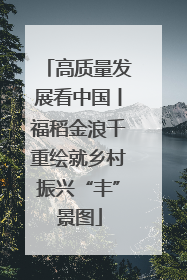 高质量发展看中国丨福稻金浪千重绘就乡村振兴“丰”景图