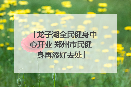 龙子湖全民健身中心开业 郑州市民健身再添好去处