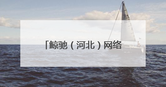 鲸驰（河北）网络科技集团：鲸驰出海，开启跨境新航程