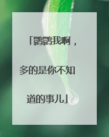鹮鹮我啊，多的是你不知道的事儿