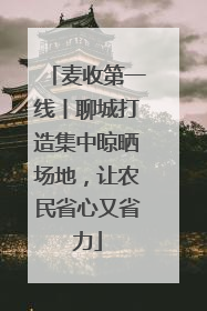麦收第一线丨聊城打造集中晾晒场地，让农民省心又省力