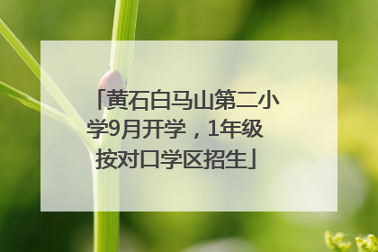 黄石白马山第二小学9月开学，1年级按对口学区招生
