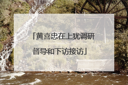 黄喜忠在上犹调研督导和下访接访