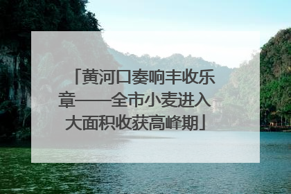 黄河口奏响丰收乐章——全市小麦进入大面积收获高峰期