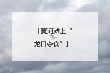 黄河滩上“龙口夺食”