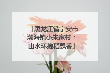黑龙江省宁安市渤海镇小朱家村：山水环抱稻飘香