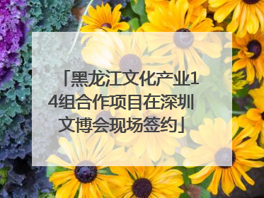 黑龙江文化产业14组合作项目在深圳文博会现场签约