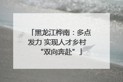 黑龙江桦南：多点发力 实现人才乡村“双向奔赴”