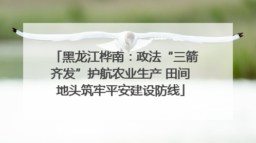 黑龙江桦南：政法“三箭齐发”护航农业生产 田间地头筑牢平安建设防线