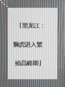 黑龙江：狮虎进入繁殖高峰期