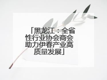 黑龙江：全省性行业协会商会助力伊春产业高质量发展