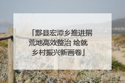 黟县宏潭乡推进撂荒地高效整治 绘就乡村振兴新画卷