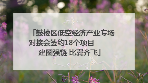 鼓楼区低空经济产业专场对接会签约18个项目——建圈强链 比翼齐飞