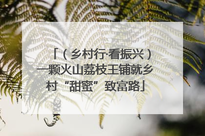 （乡村行·看振兴）一颗火山荔枝王铺就乡村“甜蜜”致富路