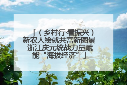 （乡村行·看振兴）新农人绘就共富新图景 浙江庆元统战力量赋能“海拔经济”