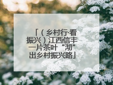 （乡村行·看振兴）江西信丰一片茶叶“沏”出乡村振兴路
