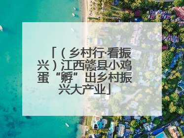 （乡村行·看振兴）江西赣县小鸡蛋“孵”出乡村振兴大产业