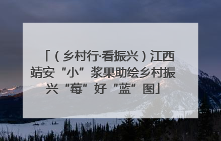 （乡村行·看振兴）江西靖安“小”浆果助绘乡村振兴“莓”好“蓝”图