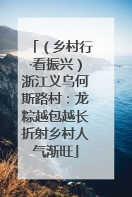 （乡村行·看振兴）浙江义乌何斯路村：龙粽越包越长折射乡村人气渐旺