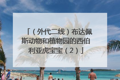 （外代二线）布达佩斯动物和植物园的西伯利亚虎宝宝（2）