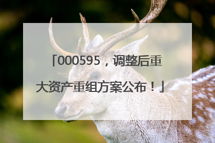 000595，调整后重大资产重组方案公布！