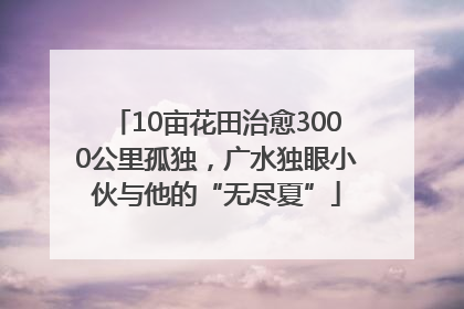 10亩花田治愈3000公里孤独，广水独眼小伙与他的“无尽夏”