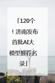 120个！济南发布首批AI大模型推荐名录