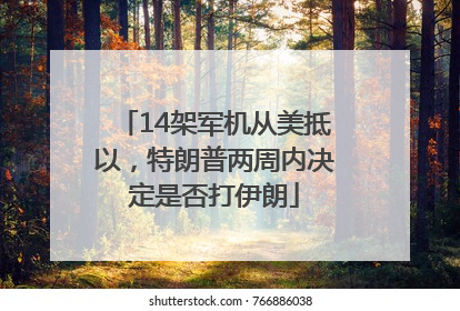 14架军机从美抵以，特朗普两周内决定是否打伊朗