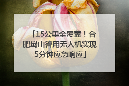 15公里全覆盖！合肥蜀山警用无人机实现5分钟应急响应