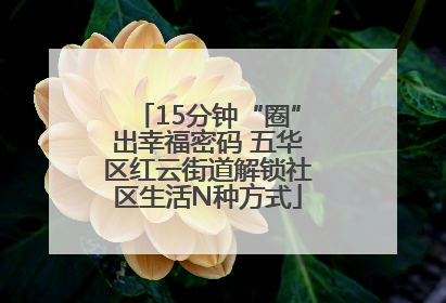 15分钟“圈”出幸福密码 五华区红云街道解锁社区生活N种方式