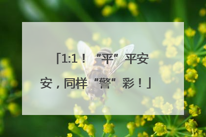 1:1！“平”平安安，同样“警”彩！