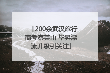 200余武汉旅行商考察英山 毕昇漂流升级引关注