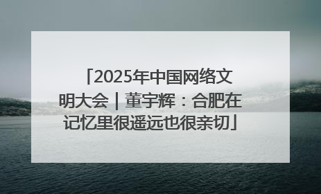 2025年中国网络文明大会｜董宇辉：合肥在记忆里很遥远也很亲切