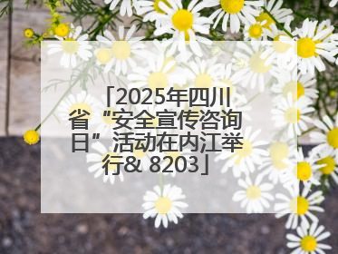 2025年四川省“安全宣传咨询日”活动在内江举行& 8203