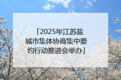 2025年江苏盐城市集体协商集中要约行动推进会举办