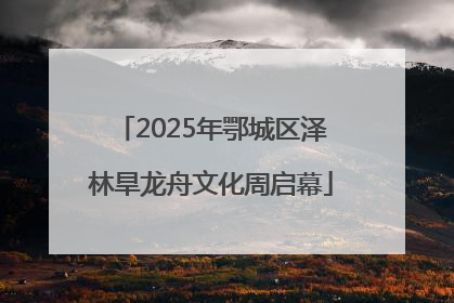 2025年鄂城区泽林旱龙舟文化周启幕