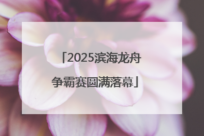 2025滨海龙舟争霸赛圆满落幕